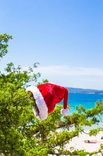 istock Red christmas hat on on branch background turquoise sea 527171597