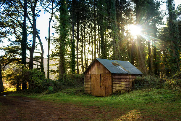 establo en el bosque con sunburst - cobertizo para bicicletas fotografías e imágenes de stock