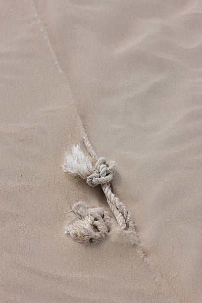 istock Rope with a knot covered with sand on the beach 527196813