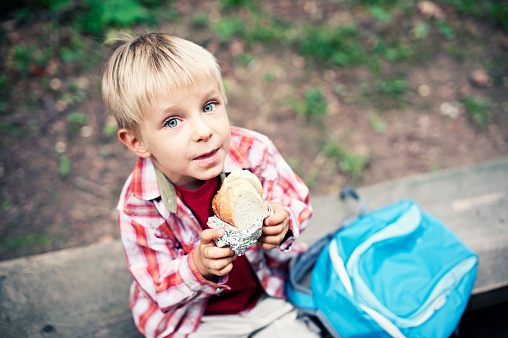 Little hiker boy aged 3 having a sadwich at the side of the path. The boy is sitting on a wooden forest bench his backpack next to him. The boy is holding a sandwich and looking at the camera.