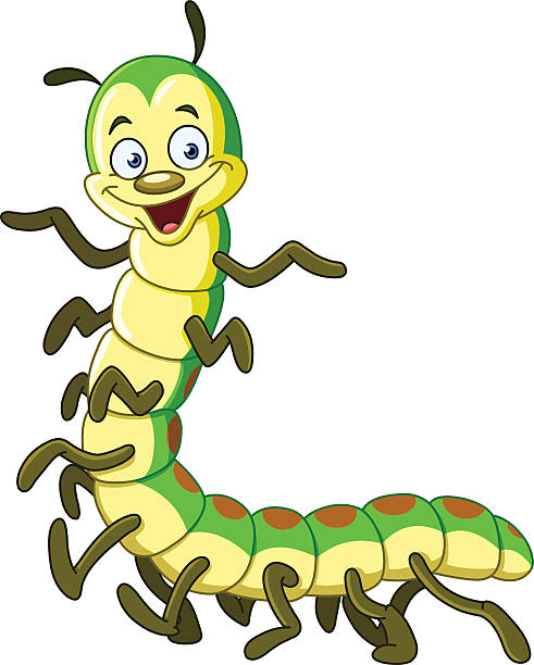 Drawing Of The Cute Centipede Illustrations, Royalty-Free Vector Graphics &  Clip Art - iStock