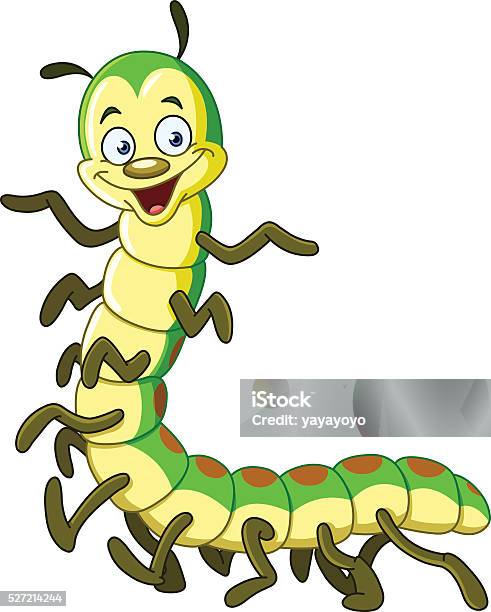 Caterpillar Millipede Stock Illustration - Download Image Now - Centipede, Caterpillar, Clip Art