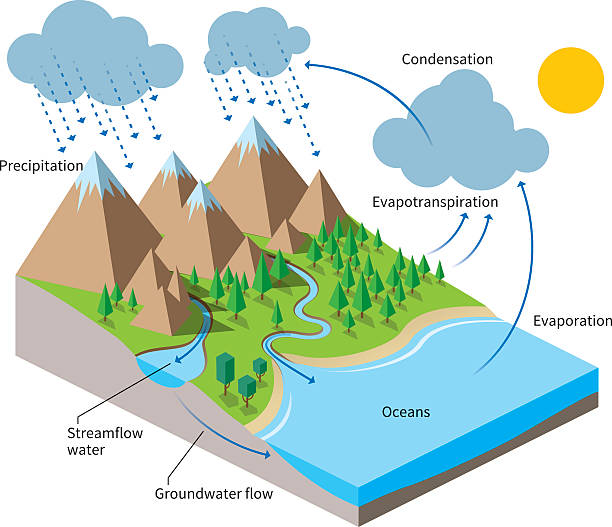 The Water Cycle Isometric Flat Color Illustration Stock Illustration -  Download Image Now - Water Cycle, Isometric Projection, Mountain - Istock