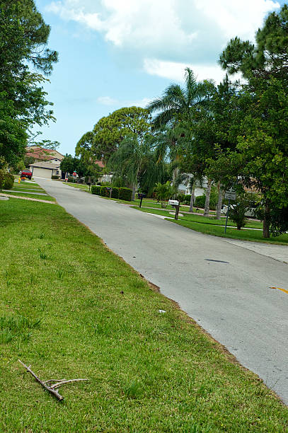 istock Residential side street in Florida 527217342