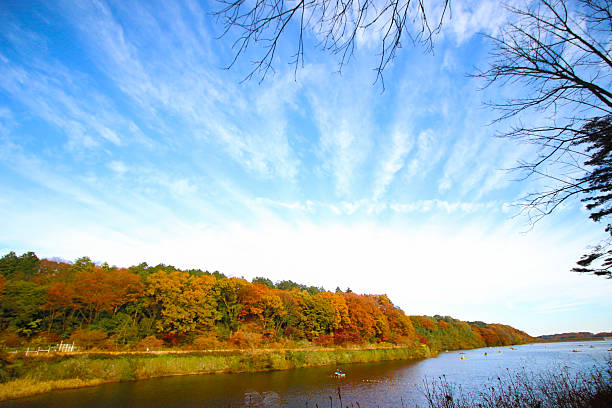 istock Autumn leaves of the lakeside 527218528