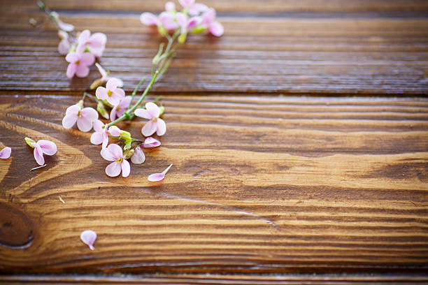 istock bouquet of spring flowers 527222252