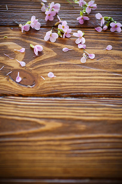 istock bouquet of spring flowers 527222712