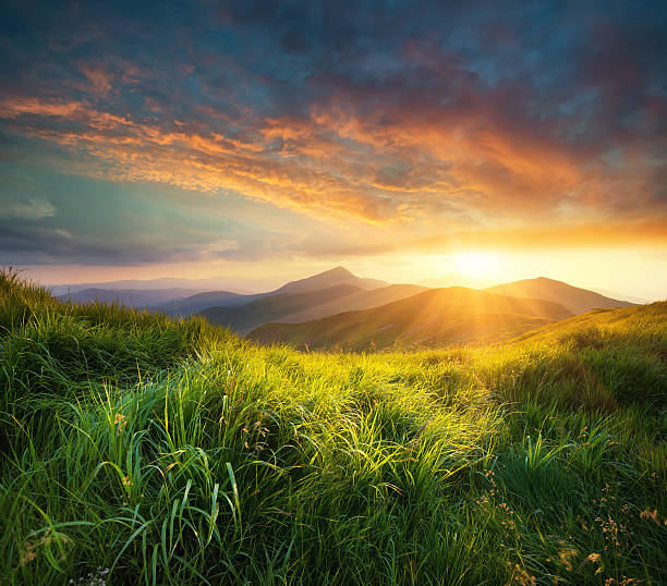 山の風景 - mountain sunset heaven flower ストックフォトと画像