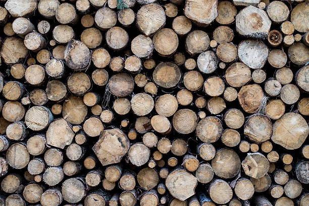 istock Pile of wooden trunks 527230116