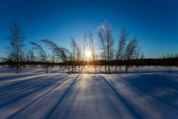 istock Winter landscape with blue sky and frosty trees 527230748