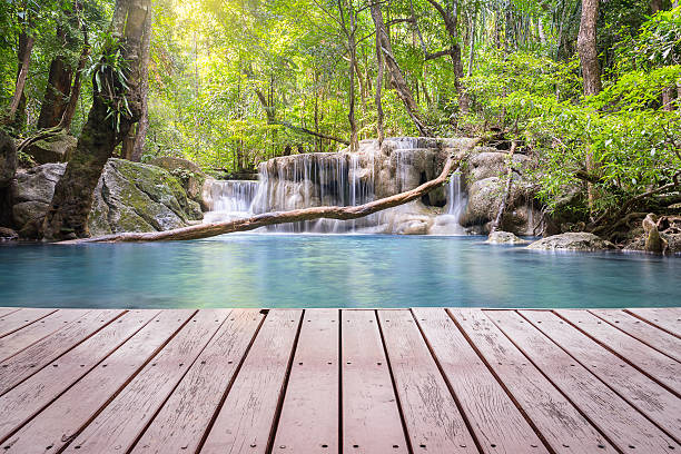 滝 - waterfall erawan tropical rainforest tree ストックフォトと画像