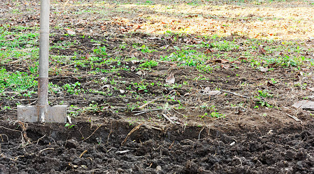 istock the bayonet spade dug into the ground 527236946