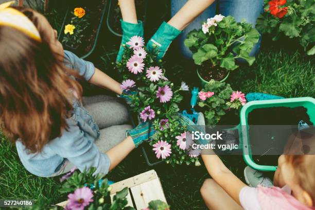 Family Planting Flowers Together 照片檔及更多 花 照片 - 花, 園藝, 前後院