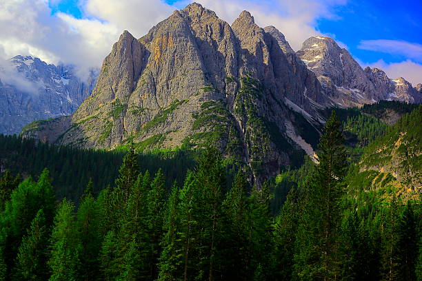 istock Idyllic Green pine tree Woods sunset, Dolomites, Italian Tirol alps 527240964