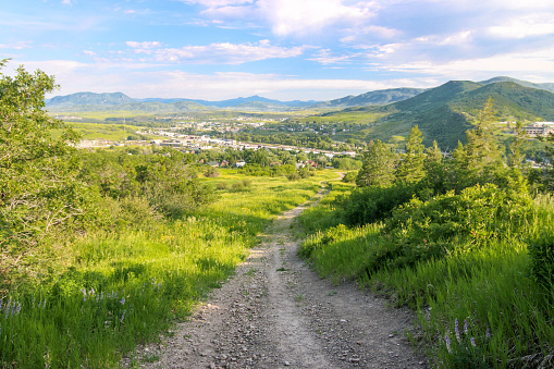 Mountain Town - Steamboat Springs - Colorado Summer