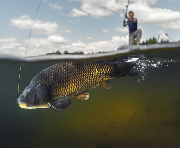 istock Man fishing on the lake 527241254