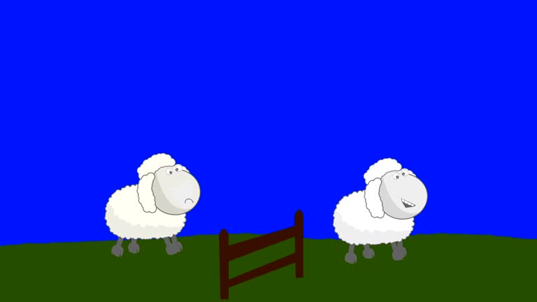Sleeping Sheep Stock Videos and Royalty-Free Footage - iStock Sleeping Sheep Stock Videos and Royalty-Free Footage - iStock