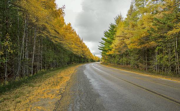 istock The Road To Nowhere 527268697