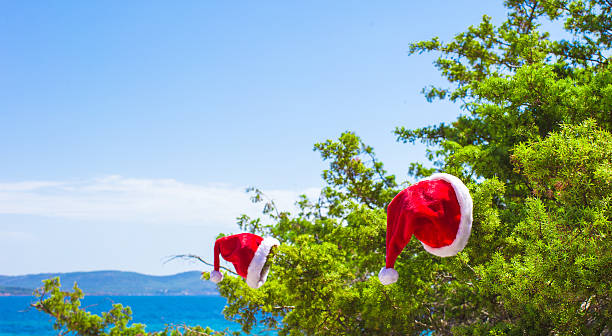 istock Red christmas hat on on branch background turquoise sea 527268771