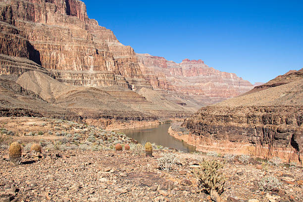 istock The Grand Canyon 527274707