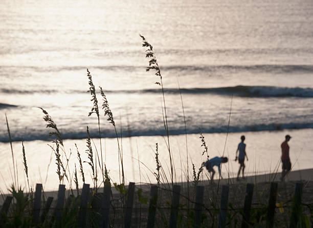 Friends on beach at sunset