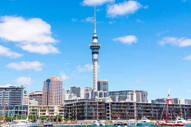 Auckland City Wynyard