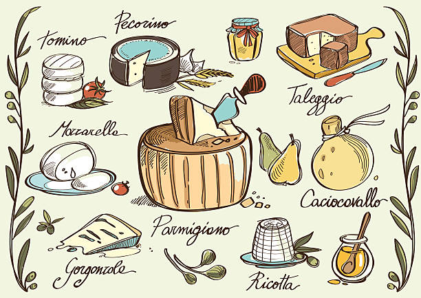ilustrações de stock, clip art, desenhos animados e ícones de queijo tradicional italiana - parmesan cheese