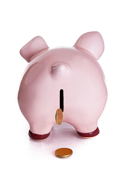 istock Piggy bank 527315617