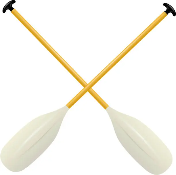 Vector illustration of Two oars for canoe