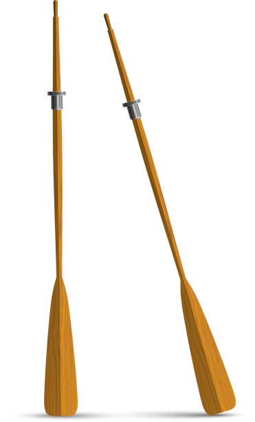 две деревянные oars - rowing rowboat sport rowing oar stock illustrations