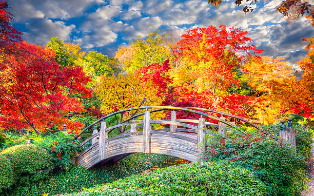 상현달 구름다리 일본 가이엔 - bridge wood japanese garden footbridge 뉴스 사진 이미지