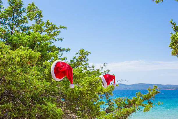 istock Red christmas hat on on branch background turquoise sea 527318487
