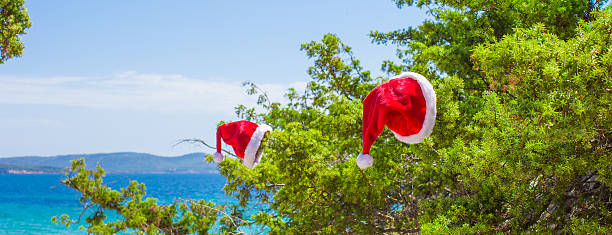 istock Red christmas hat on on branch background turquoise sea 527318495