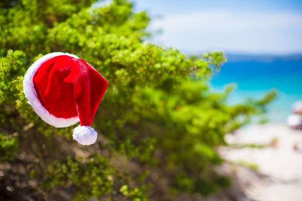 istock Red christmas hat on on branch background turquoise sea 527318503