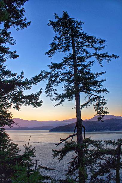 istock Colorful Sunset Over Gambier Island 527343677