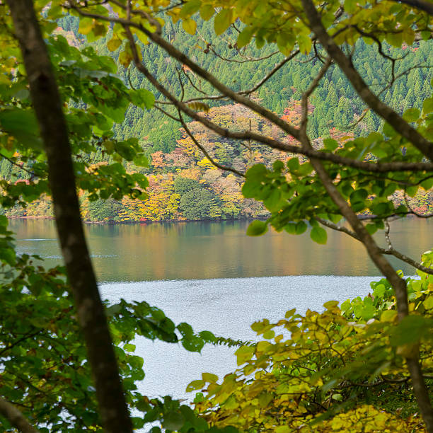 istock Autumn fall landscape with branch canvas 527344179