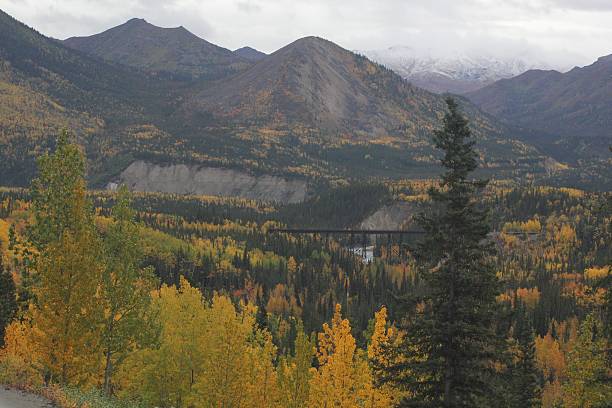 istock Bright Fall color Aspens Denali National Park Alaska Railroad bridge 527348323