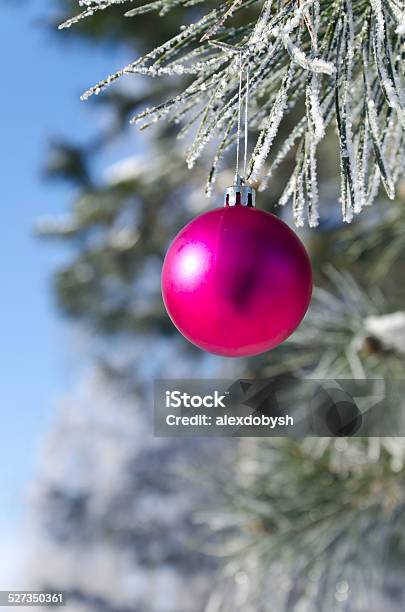 Christmastree Decoration On A Pine Stock Photo - Download Image Now - Blue, Branch - Plant Part, Bright