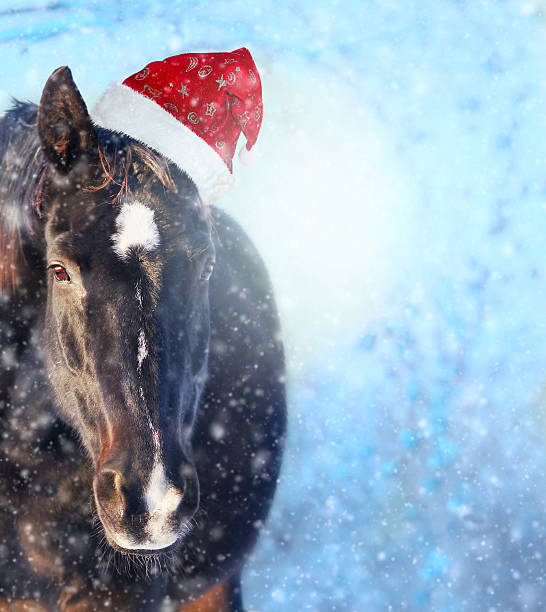 istock Black horse with Santa hat in showfall, Christmas background 527367891