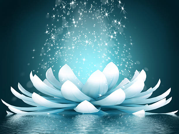 istock Beautiful lotus flower 527370119