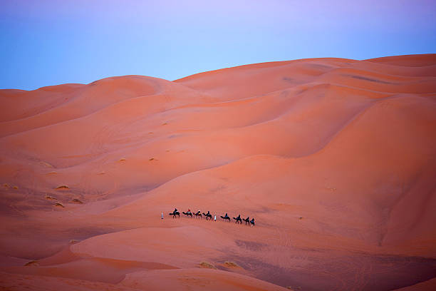 istock Camel trekking in Western Sahara, Morocco 527371341
