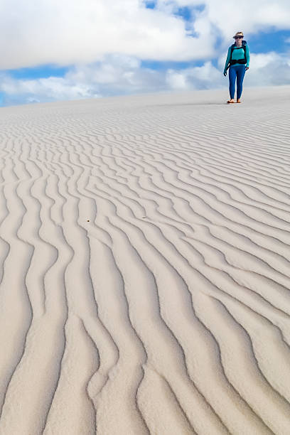 istock Lencois Maranhenses National Park 527373405