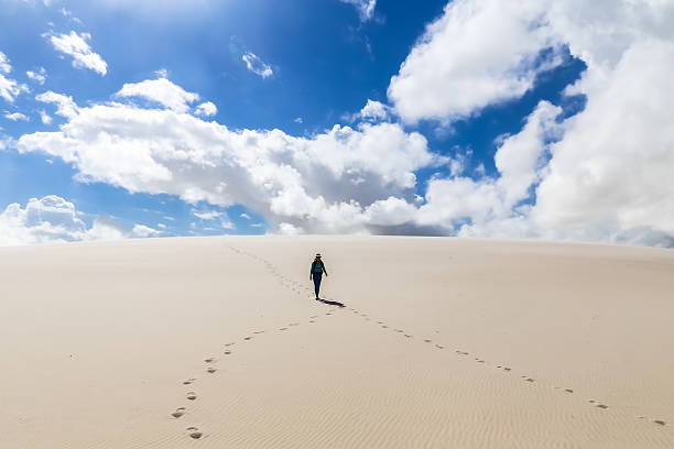 istock Lencois Maranhenses National Park 527373419