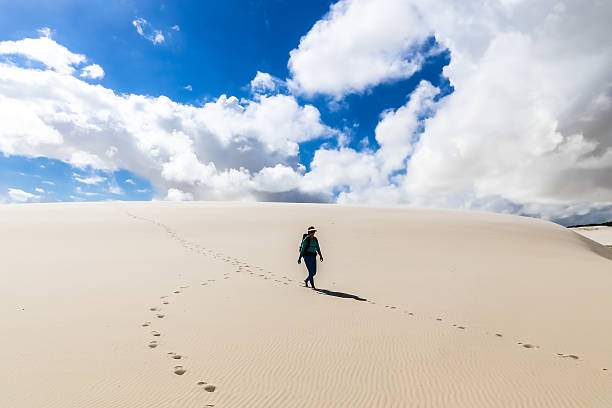 istock Lencois Maranhenses National Park 527373423