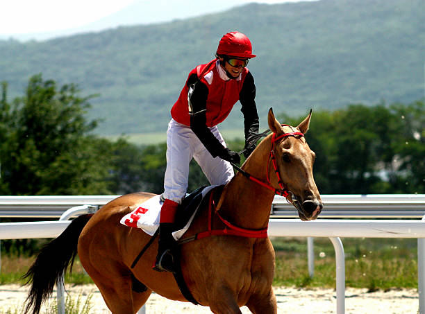 istock Horse and jockey. 527373633