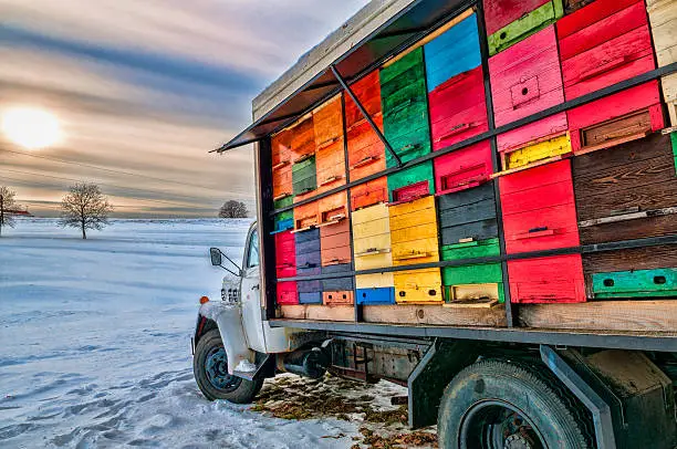 Colourful beehouse on winter day.HDR