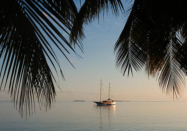 Navio no mar - foto de acervo