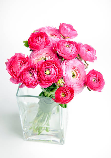 istock Beautiful wedding butet Ranunculus 527393943