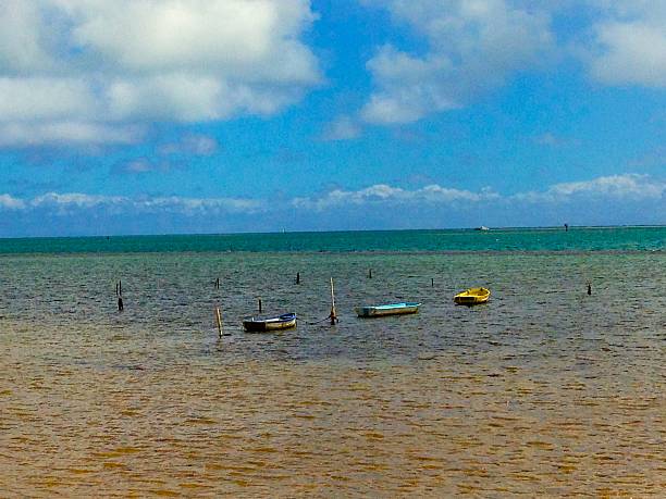 istock Kaneohe Bay Boats 527394047