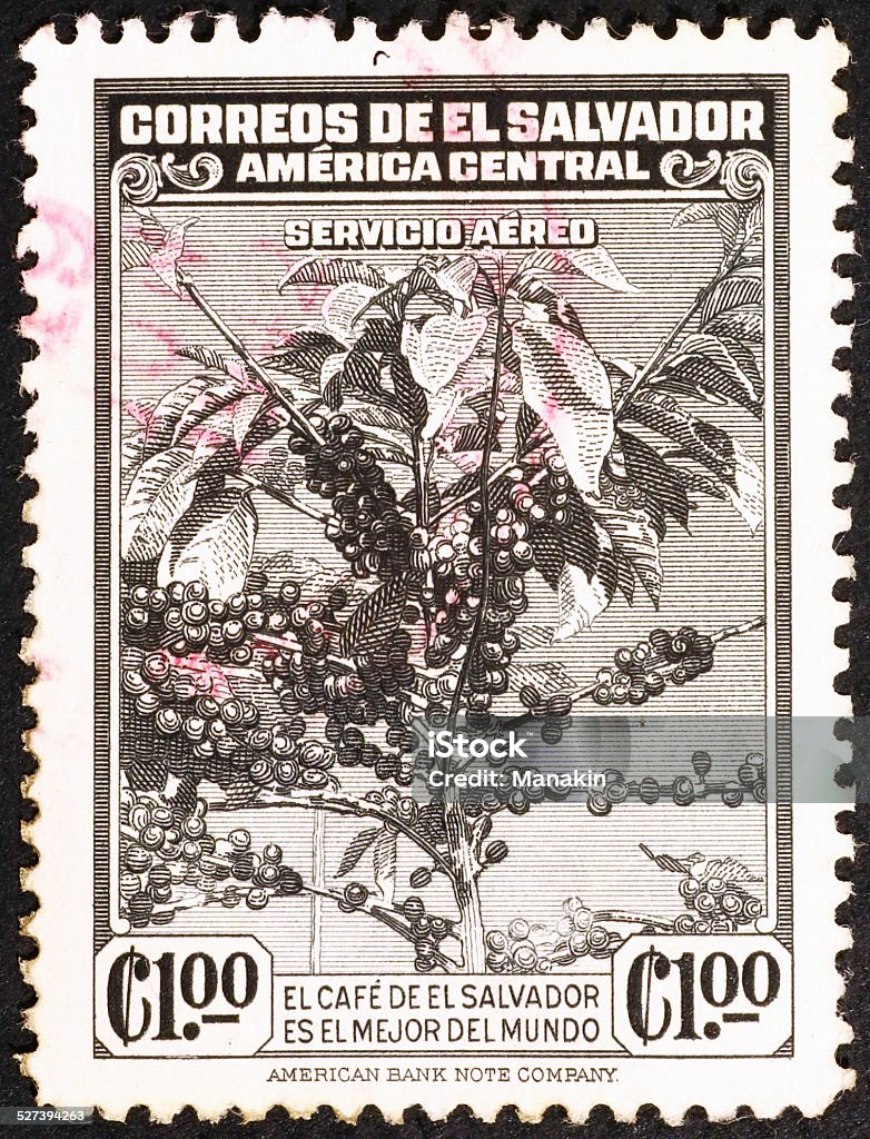 Coffee tree on old stamp of El Salvador Nice coffee tree on old bicolor postage stamp of El Salvador El Salvador Stock Photo